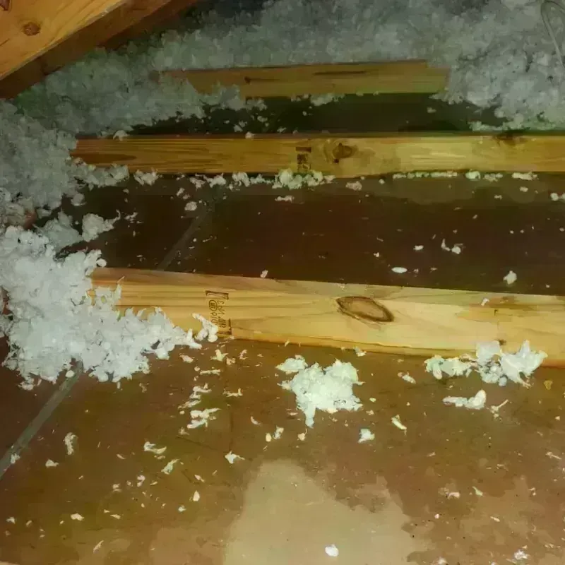 Attic Water Damage in Ukiah, CA